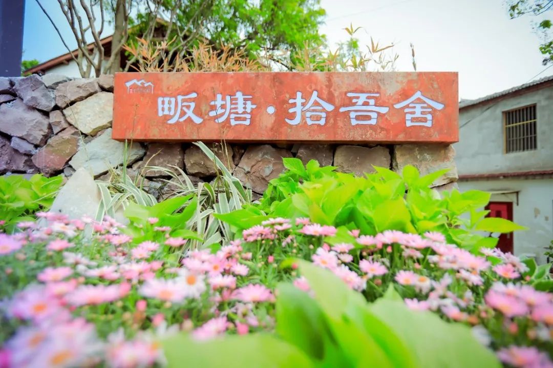 【新时代 新乡村 新民宿】江淮侨乡六家畈魅力绽放，畈塘•拾吾舍精彩亮相！