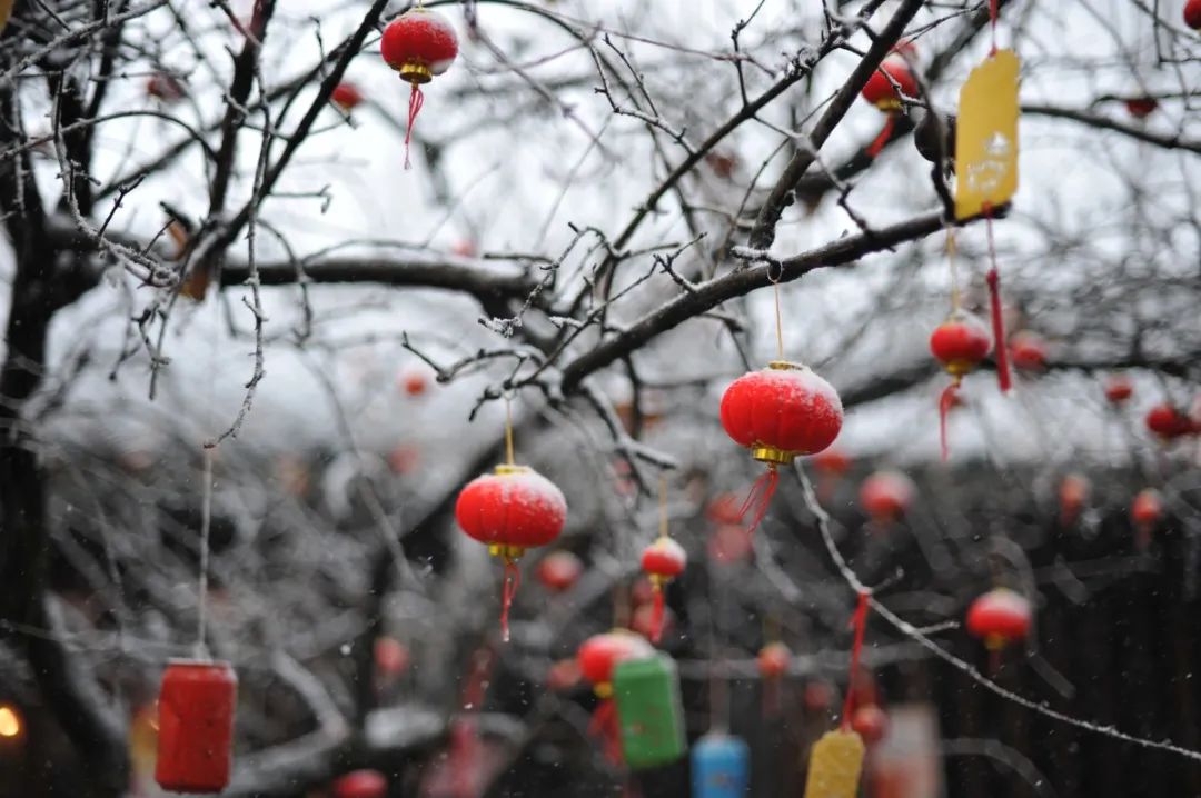 愿新年的阳光洒在你的脸上，温暖留在心底...