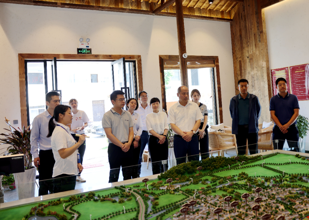 团省委副书记叶征一行莅临江淮侨乡六家畈考察调研