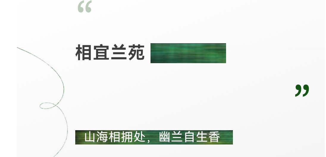 “兰”不住了！_邀您共赴一场兰花盛宴